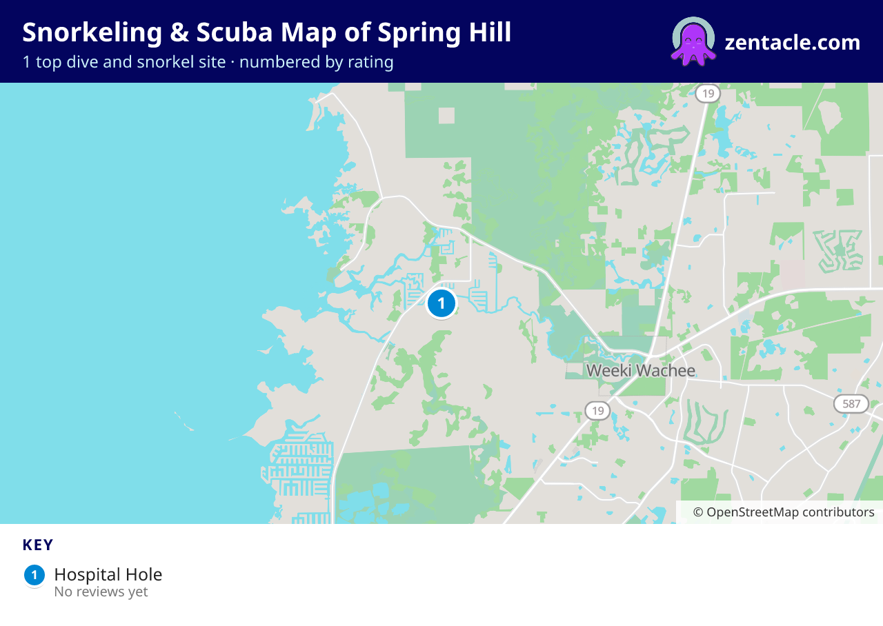Snorkeling & Scuba Map of Spring Hill: numbered map of the top 1 dive and snorkel sites, with ratings