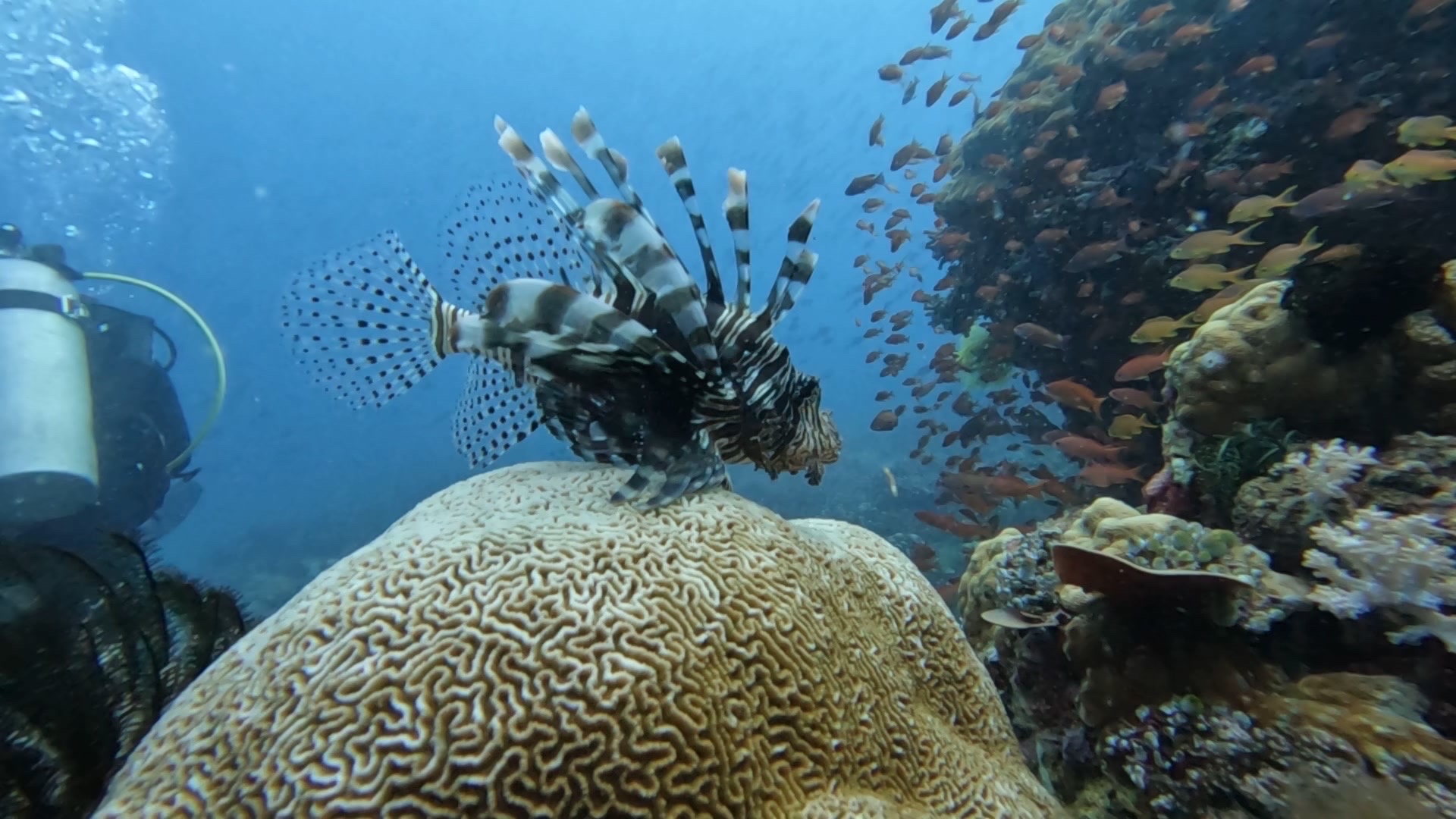 Sombrero Island