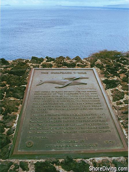 A plaque describing the migration of the Humpback Whales that can be seen from this point.