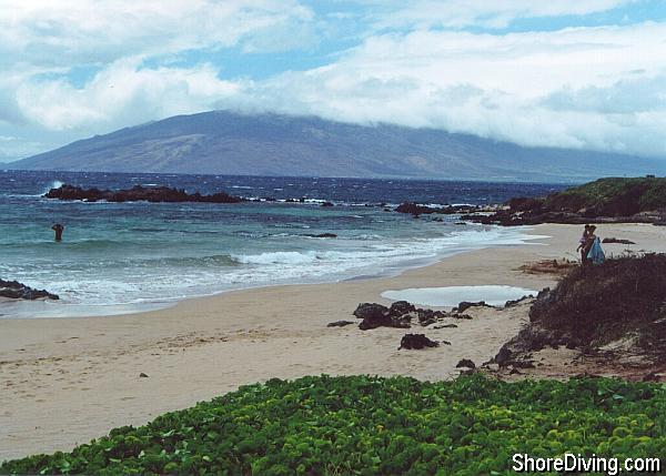 The rugged point offers the best fish viewing.