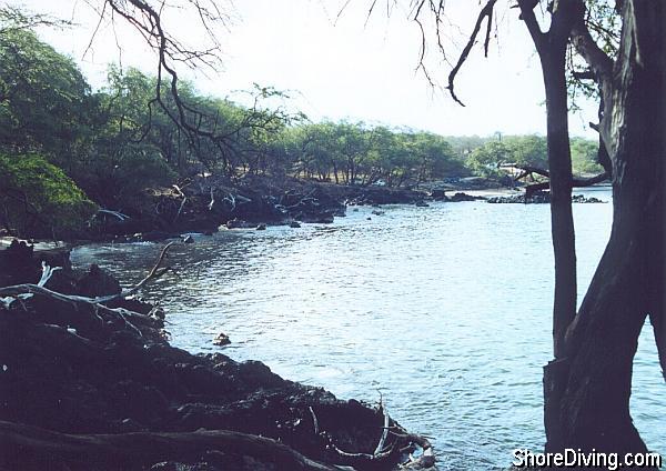 The boat landing is the white spot on the left edge of the picture.