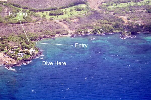 You may dive the immediate point area, or kick-out and explore the other side of the bay.  As always, a dive flag is recommended since boats use this area as well.