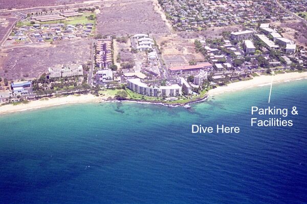 The coral around the point is more interesting than the beach area.