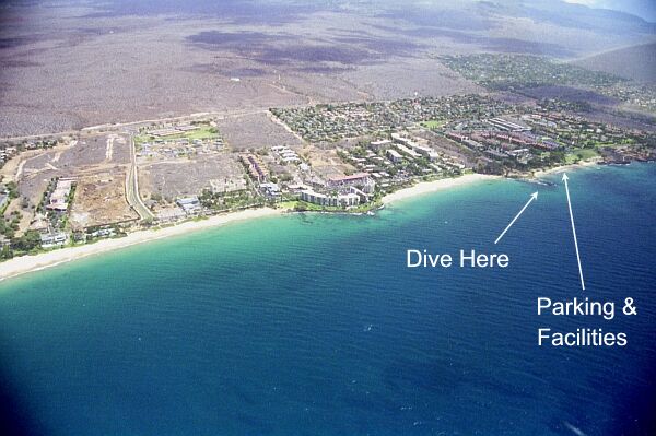 You can choose diving between any of the three Kamaole parks.