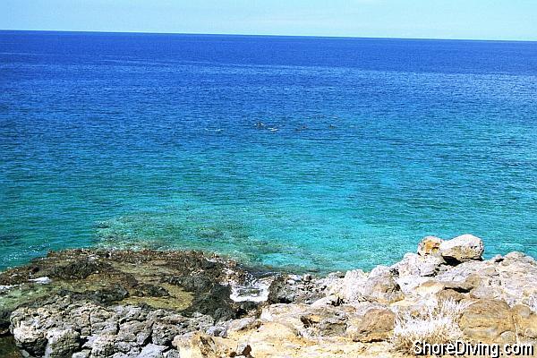 On the day we documented this site, there was a school of dolphins playing in the shallows.  The two lone snorkelers had the time of their lives!