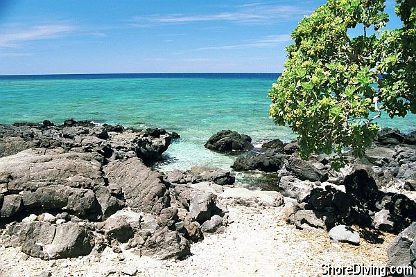 The entry is an easy climb into the little lava cove.  Put your fins on and kick out for a hundred yards.