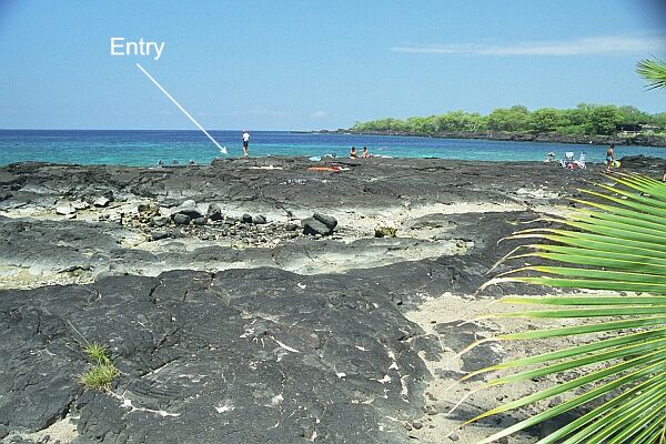 You may gear up at your vehicle, or carry your equipment out to the edge of the lava.  Most leave their equipment bag, shoes, glasses, etc, close to entry.  But Beware during periods of stormy seas:  we have seen a rogue wave gently sweep over the dry lava, sweeping it clean of all loose items.  Not a pretty sight!  Note that the actual dive entry is precisely where the man is standing in the background.