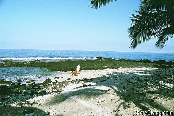 Entry is to the far right of the beach just before the large patch of lava.