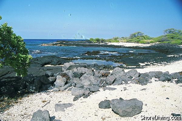 After your short hike, you'll find a nice beach with obvious entry points just beyond the lava in the picture.  Plan your dive, and walk easily into the water!
