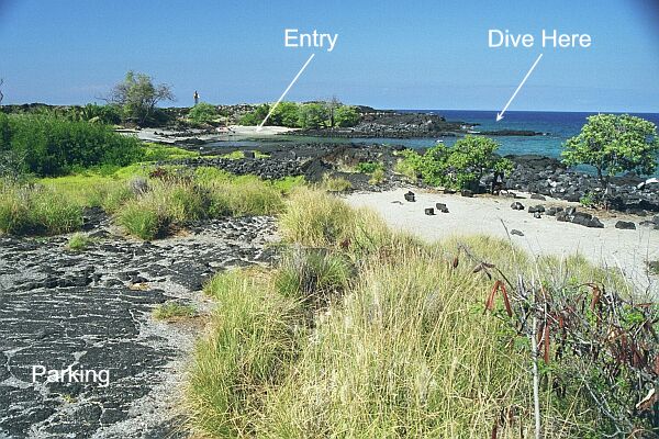 'Alula Beach (Kona Dog Beach)