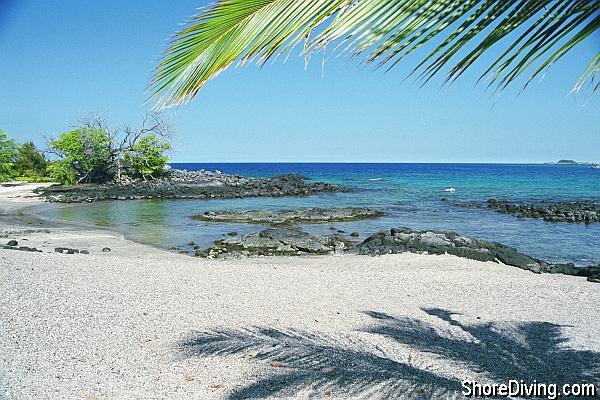 The entry is an easy wade from the sandy beach.  Hug the shore line while making your way out to sea.