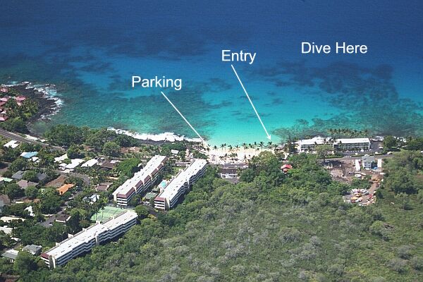 Plan your dive to follow the lava shelf around to the right.  You won't be disappointed!