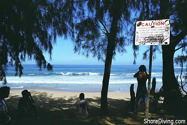 There is a shady area at the end of road perfect for having lunch.