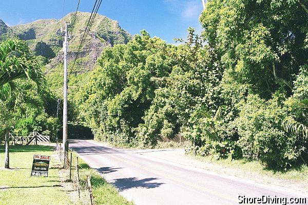 This is the second of two dirt access roads to the reef area; the Haena Beach Park is just up the road.