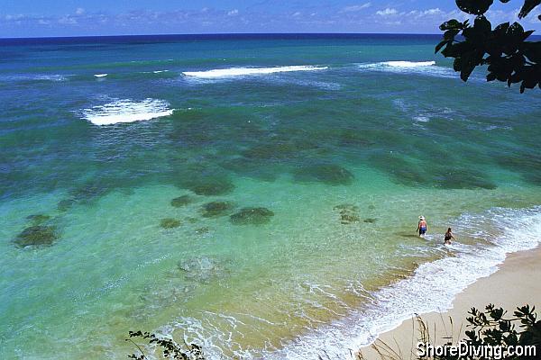 The beach is pristine at this entry point, and the snorkeling is great.