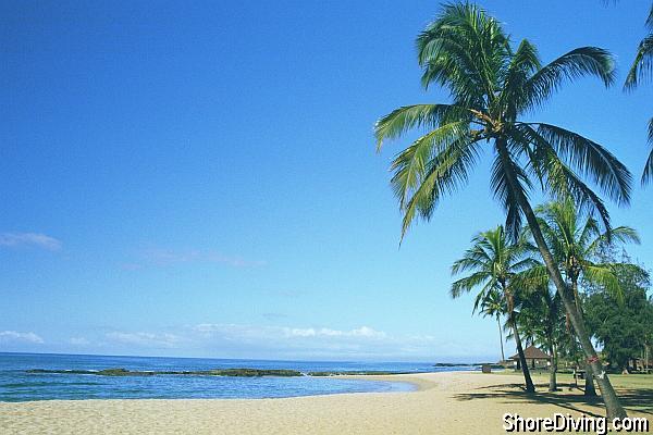 A pure sand beach greets you!