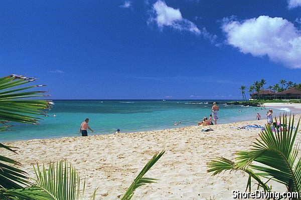 Entry is straight out this sandy beach.