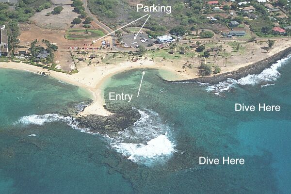 You'll find the jutting lava between the two beaches to be the most interesting.