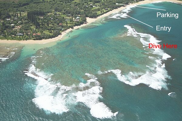 The entry is relatively easy when the surf is minimal.  Kick out to the deep, and begin your exploration.