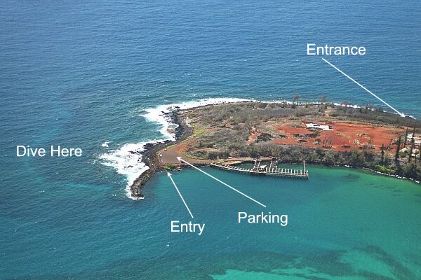 The edge of the lava shelf is apparent from this photo.  Follow it around, ensuring you have enough air to return underwater to the jetty.