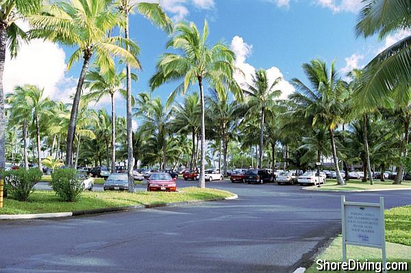 Parking is ample and close to the beach.