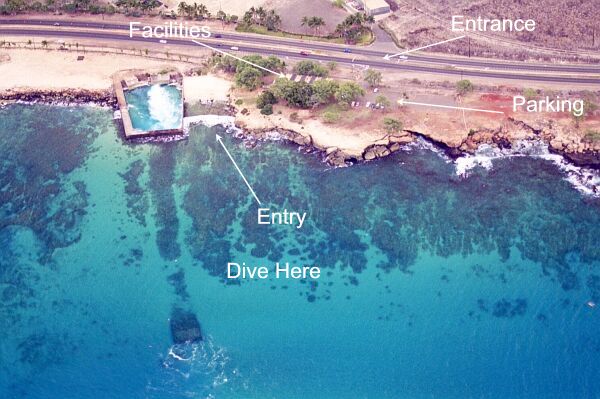 Take your pick of dive spots!