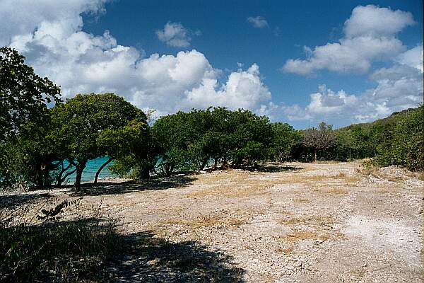 You may park next to the shade trees.