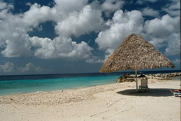 Find a comfortable entry to the left of the lagoon, and, if the currents allow, make your dive to the left.