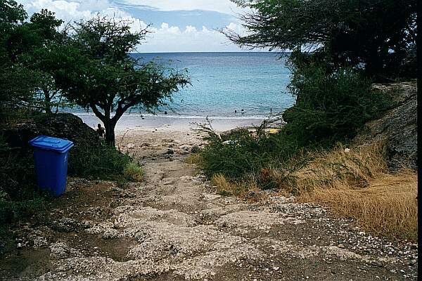 You can suit up in the parking lot.  Help your buddy down this 'natural' stairway to the beach.