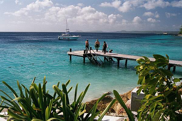 Take a giant stride off the dock, and use the stairs  to return.