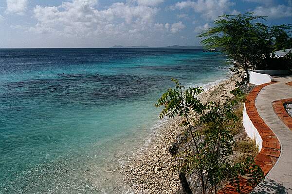 Make your way down to the small beach area, and dive in!