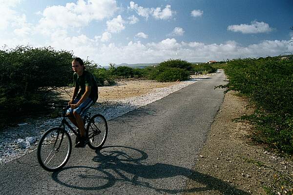 Look for a small entrance to the ocean (or use your GPS), and park on the road.