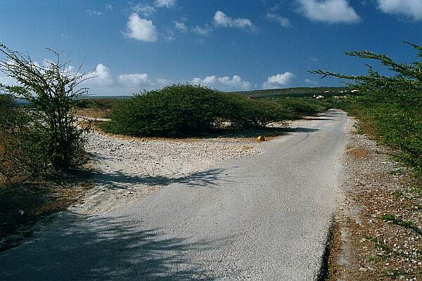 Off this one lane road, look for this hard packed coral road on the left.