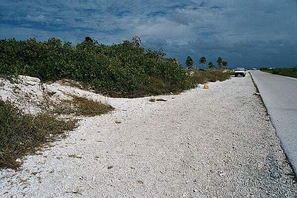 Parking is along the main road, with several access trails.