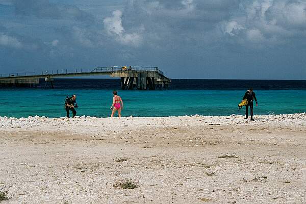 The pier is not available for diving when ships are being loaded with salt, of course.