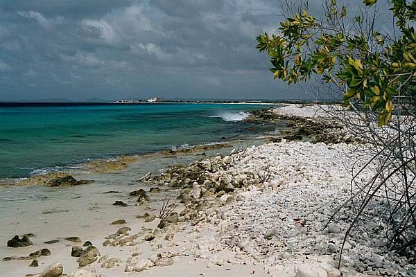 Sand and coral entry, and a very small shade tree!  As usual, carry lots of water -- "hydrate, hydrate, hydrate"