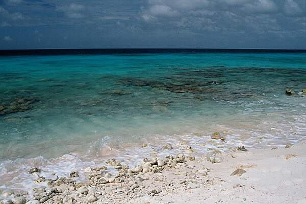 Look for the dive buoy.  The entry couldn't be more inviting!