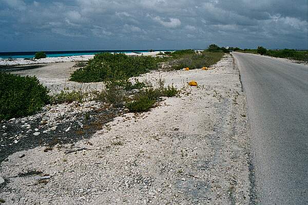 Looking North, the entrance is well marked.