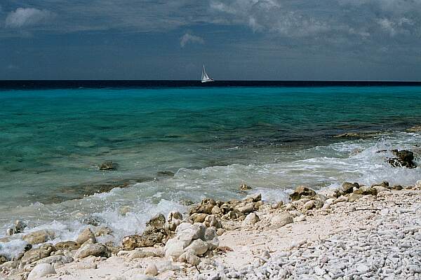 The entry is sand and coral.