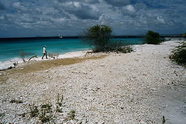 Parking is ample above the beach.