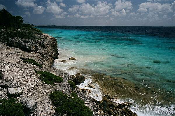 Your entry will be at a sandy spot, just out from a 1 meter drop from the coral edge.  Have your buddy hand your tank to you.