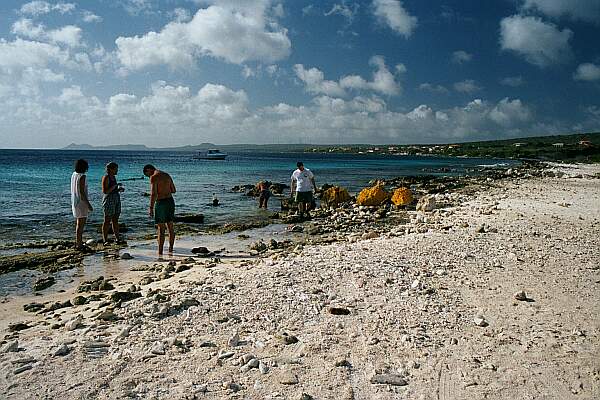 Snorkelers, divers, sun-bathers and beach-combers will enjoy this setting.