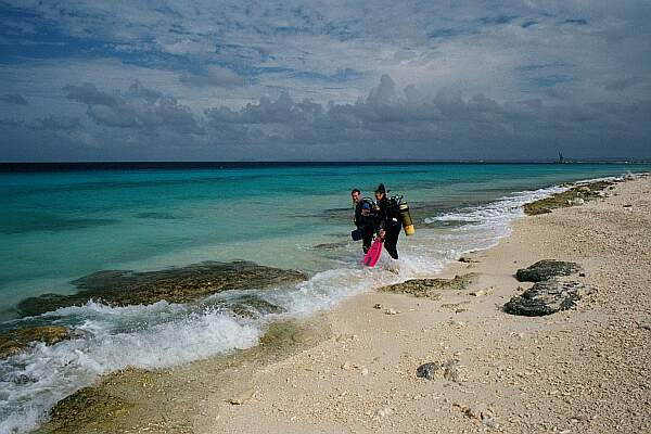 You'll find plenty of sandy channels to make your entry.