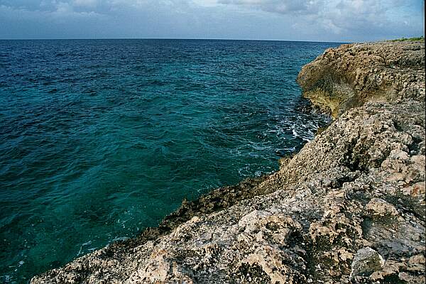 The entry is on the ledge to the left, and is only a meter above the water.  The coral cliff is very rough and jagged.   Due to the difficulty of this dive, you should only do it with a guide.