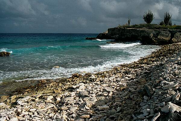 The entry is a little rocky.  Don't attempt this dive during a high surf day.