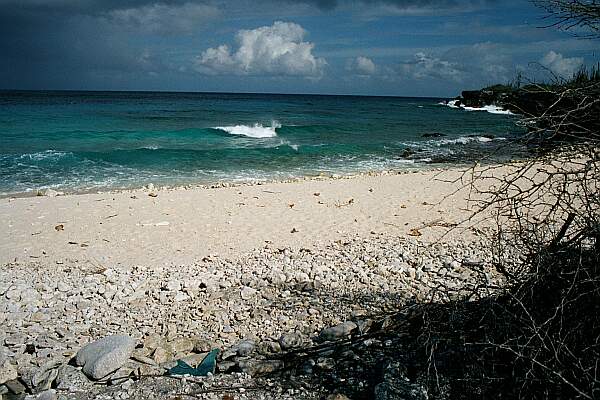 The entry is sand and coral, and, due to the small cove, is usually well-protected.  Watch the currents, however!