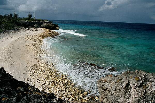 You can tell the reef is an easy swim just off the beach.