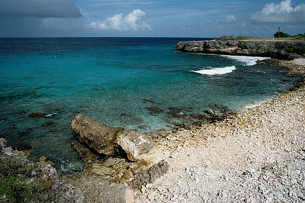 Sand and coral greet you at the water's edge!