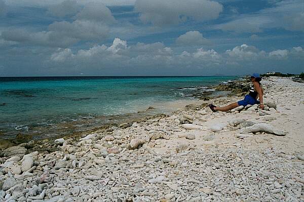 An on-looker wonders why she didn't get scuba certified when she had the chance!