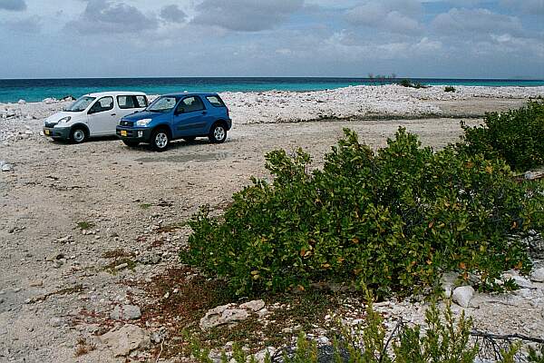 Easy parking for several cars.